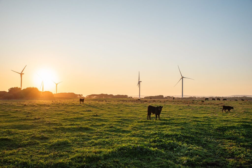 Australia hydrogen energy