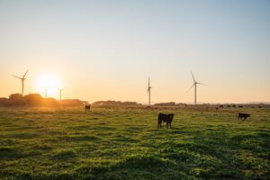 Australia hydrogen energy