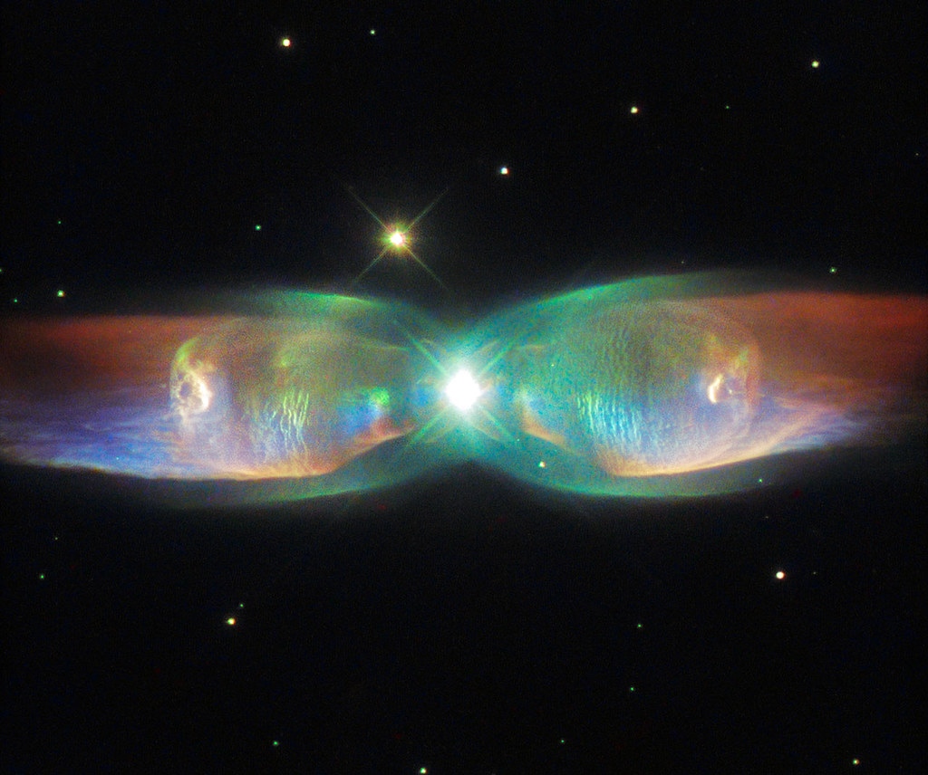 butterfly wings science