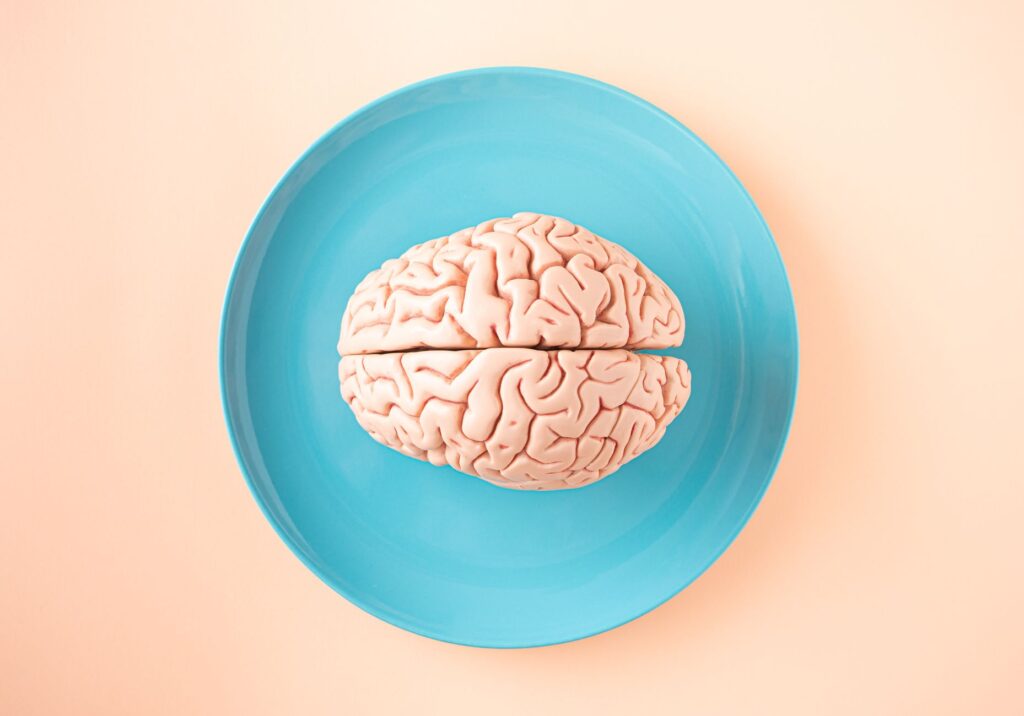tiny brain structure